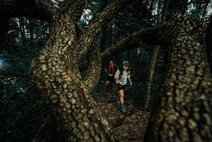 BIB: 
                            <button type="button" onclick="openModal(25699172)" class="btn btn-primary btn-sm float-right btn-popup" data-toggle="modal" data-target=".modal-high-quality">
                        <i class="fas fa-shopping-cart"></i> Add to Cart
                    </button>
                                            <button type="button" onclick="isThisMe(25699172, true)" class="btn btn-success btn-sm float-right btn-popup btn-isme hidden" data-toggle="tooltip" data-placement="bottom" title="นี่คือรูปของคุณใช่ไหม คลิกที่นี่เพื่อเอาเข้าอัลบั้ม">
                        <i class="fas fa-plus"></i> Add to album
                    </button>
                    <button type="button" onclick="isThisMe(25699172, false)" class="btn btn-warning btn-sm float-right btn-popup btn-isnotme hidden">
                        <i class="fas fa-ban"></i> Remove from album
                    </button>